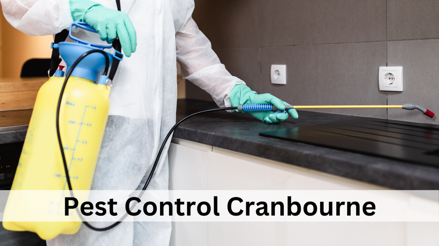Pest Control Beaumont Tx